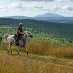 Runner and Rider side by side - there's no other race like VT!